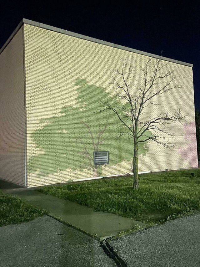 Interesting Finds And Illusions (49 pics)