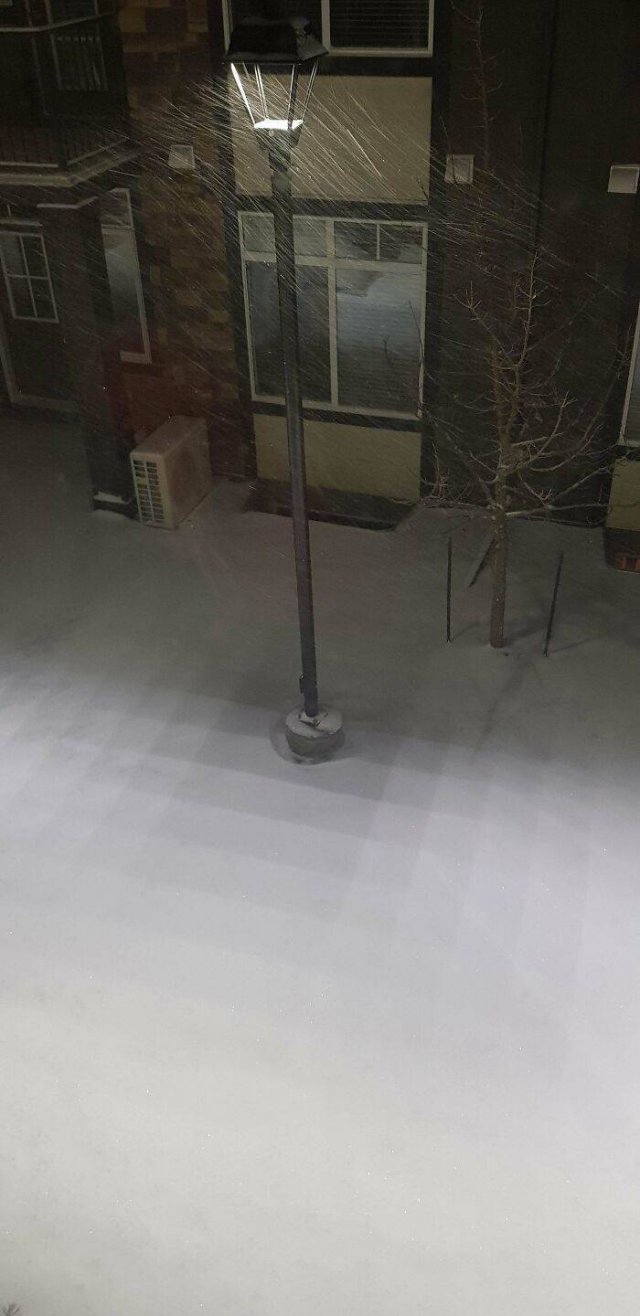 Interesting Finds And Illusions (49 pics)