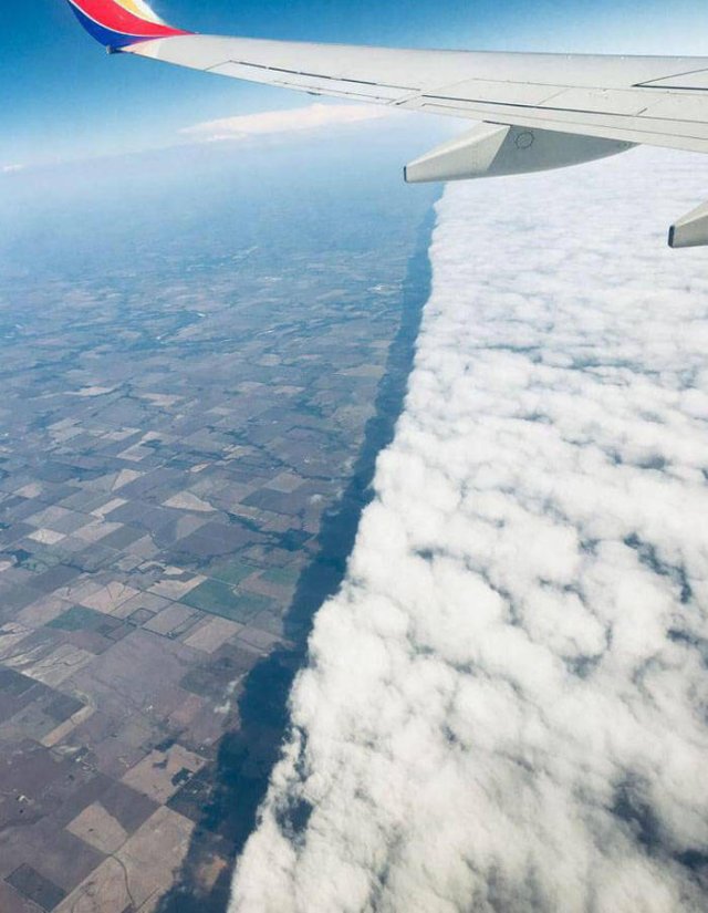 Interesting Finds And Illusions (49 pics)