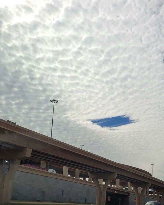 Interesting Finds And Illusions (49 pics)