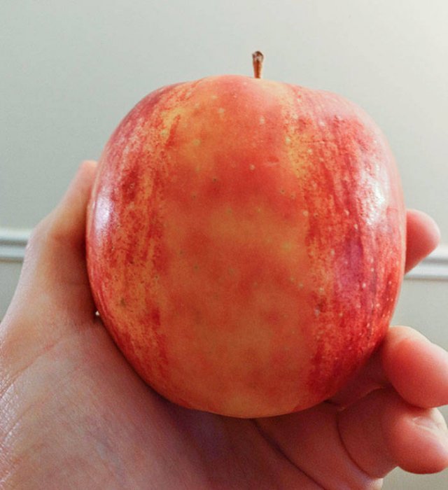Interesting Finds And Illusions (49 pics)