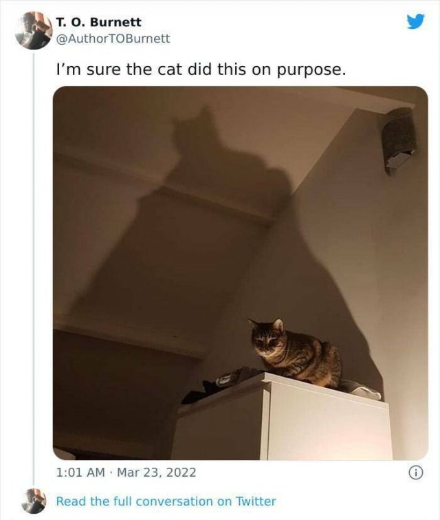 Funny Tweets About Animals (16 pics)