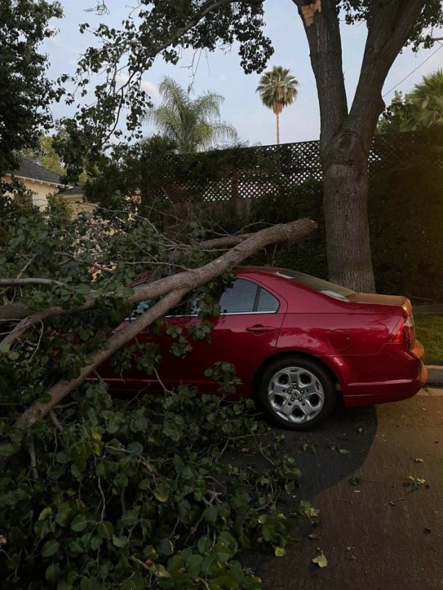 Bad Days Happen (35 pics)