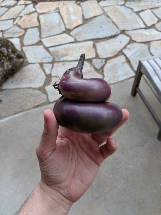 Funny Fruits And Vegetables (40 pics)