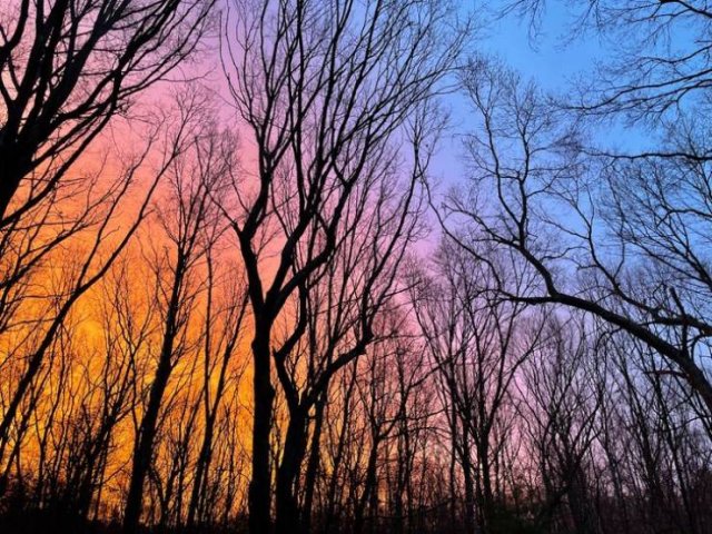 Photos For Perfectionists (35 pics)