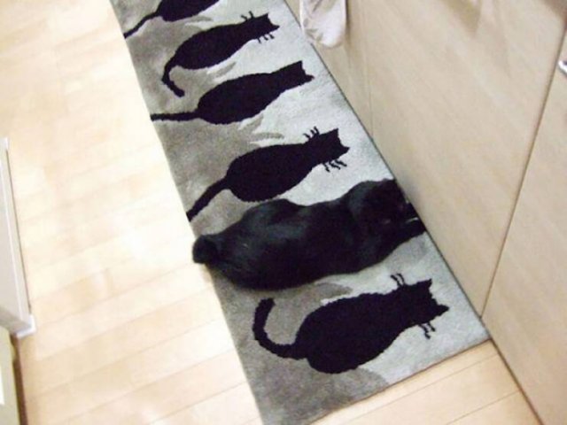 Interesting Finds (35 pics)