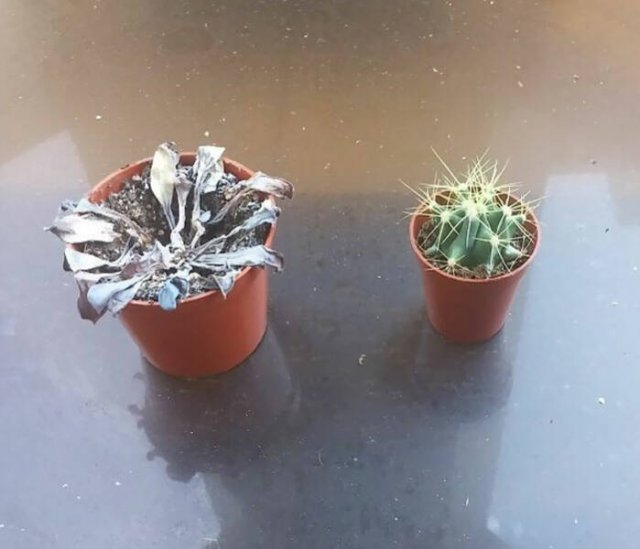 Two Kinds Of People (39 pics)