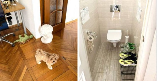 Weird Interiors And Houses (19 pics)