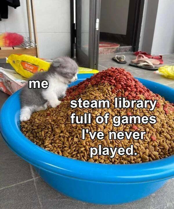 Gaming Memes (41 pics)