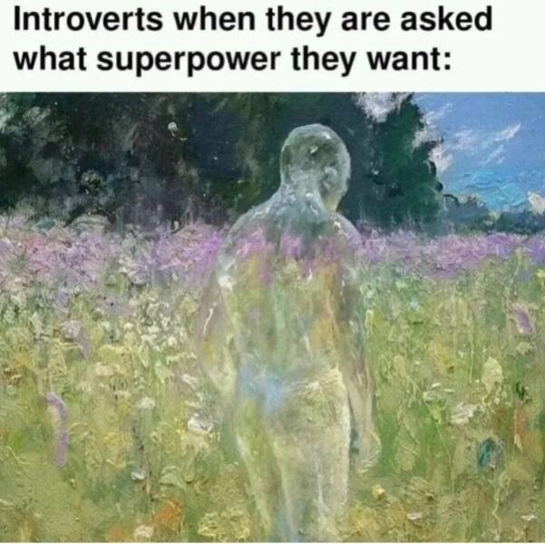 Memes For Introverts (25 pics)