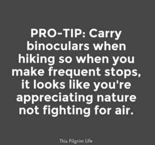 Weird Finds And Situations (35 pics)