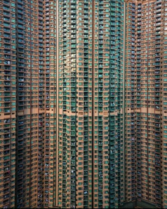 Interesting Finds (24 pics)