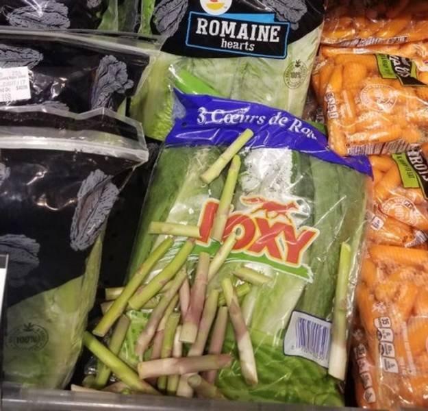 Where Is The Logic? (19 pics) Where Is The Logic? (19 pics)