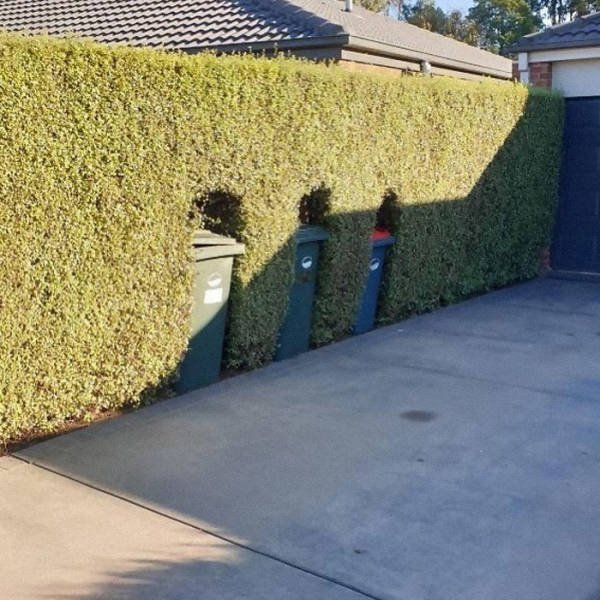 Unusual Gardens (30 pics) Unusual Gardens (30 pics)
