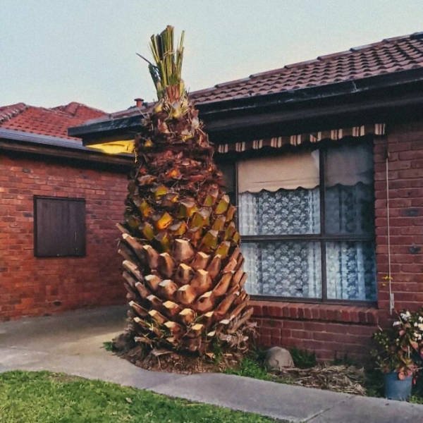 Unusual Gardens (30 pics) Unusual Gardens (30 pics)