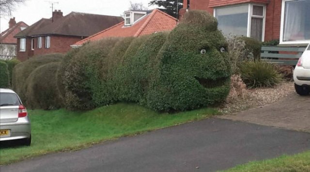 Unusual Gardens (30 pics) Unusual Gardens (30 pics)