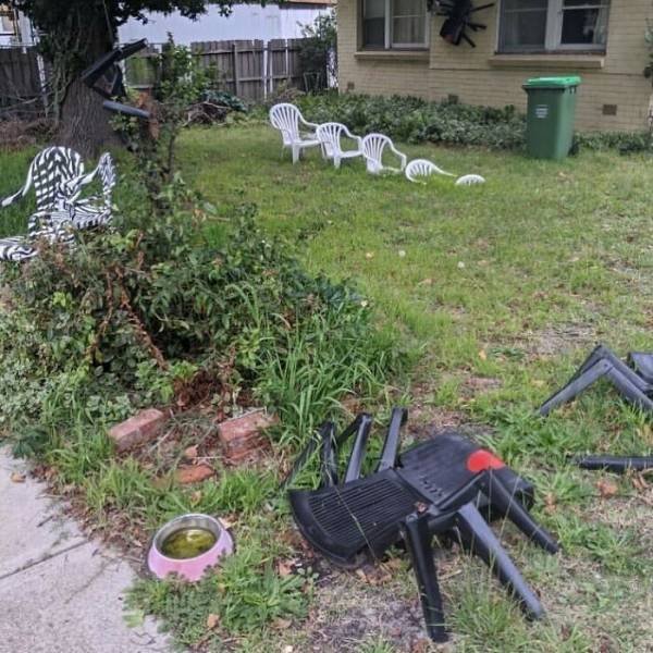 Unusual Gardens (30 pics) Unusual Gardens (30 pics)