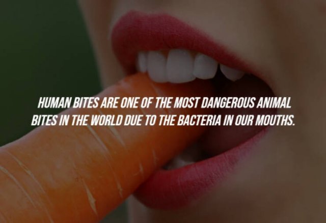 Random Facts (15 pics)
