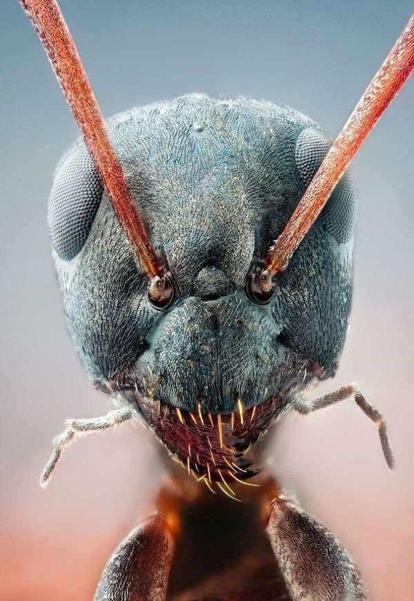 Scary Photos (26 pics)