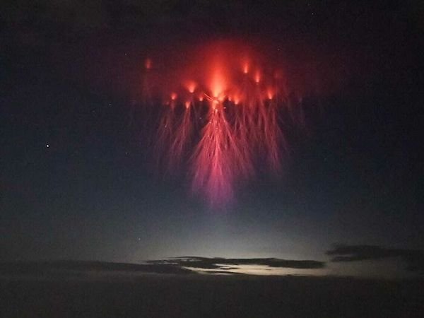 Scary Photos (26 pics)