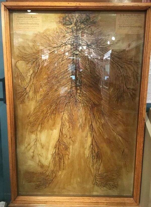 Scary Photos (26 pics)