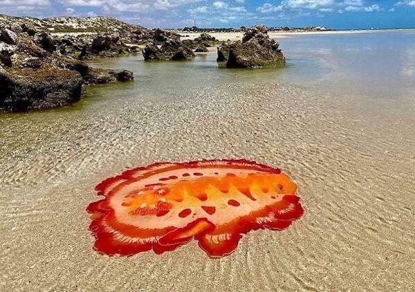 Scary Photos (26 pics)