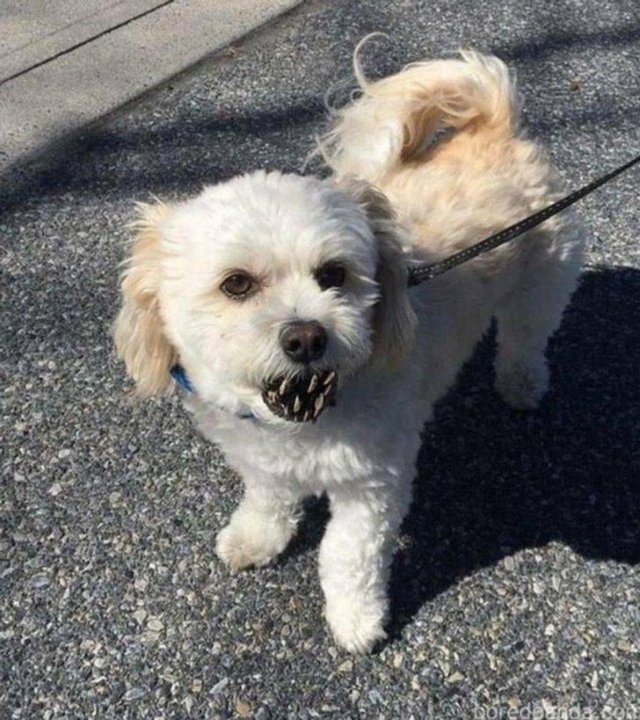 Look Twice (27 pics)