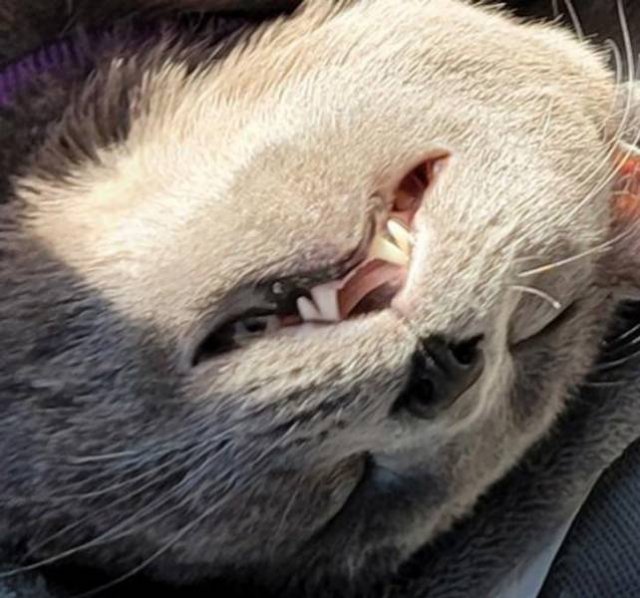 Look Twice (27 pics)