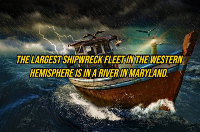 Random Facts (14 pics)
