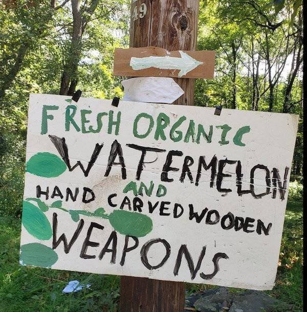 Funny Signs (26 pics)