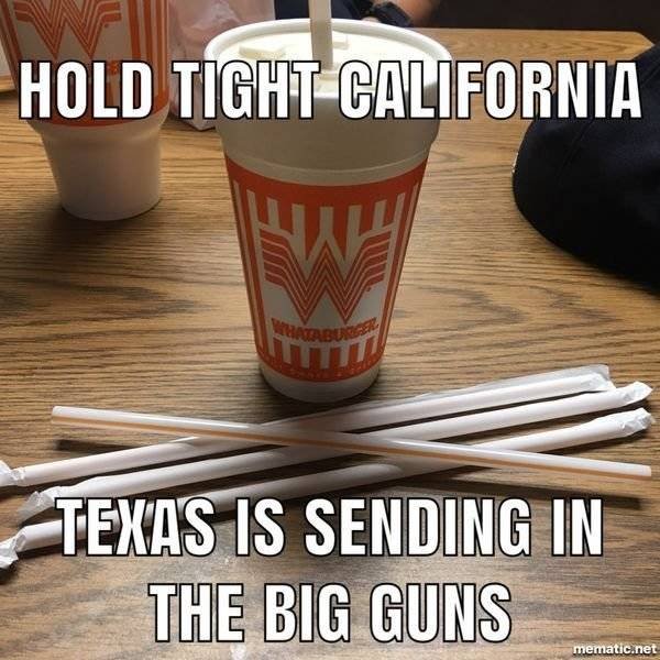 Jokes About Texas (48 pics)