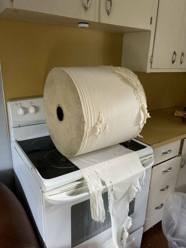 Unusual Finds (45 pics)