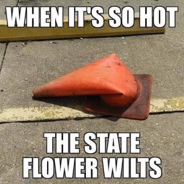 Funny Memes (40 pics)