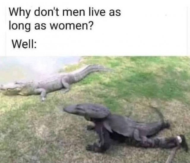 Funny Memes (40 pics)