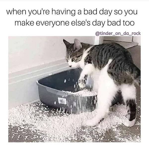 Funny Memes (40 pics)