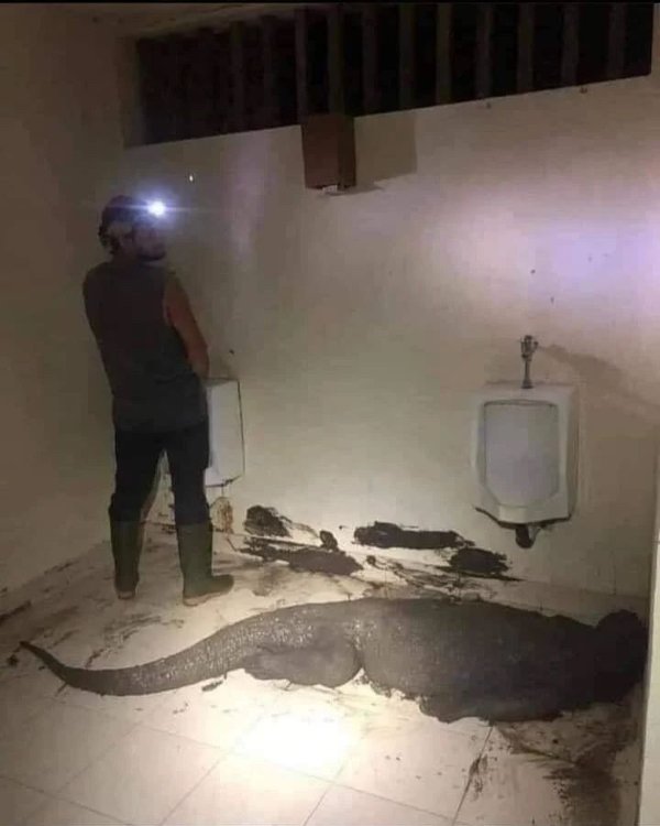 Weird Finds And Situations (30 pics)