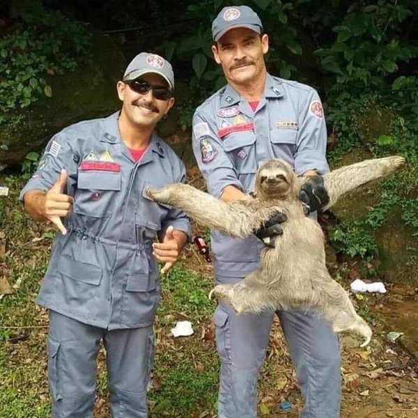 Weird Finds And Situations (30 pics)