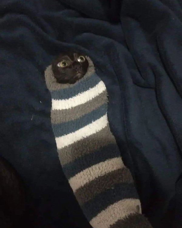 Weird Finds And Situations (30 pics)