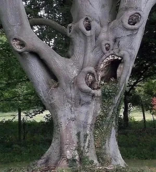 Weird Finds And Situations (30 pics)
