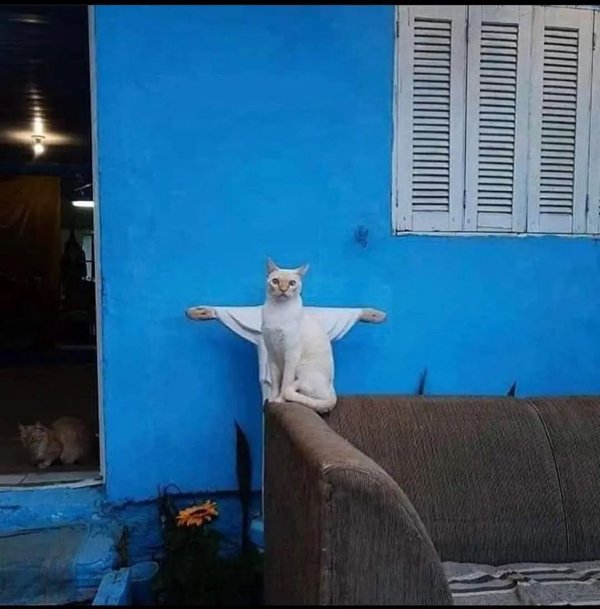 Weird Finds And Situations (30 pics)