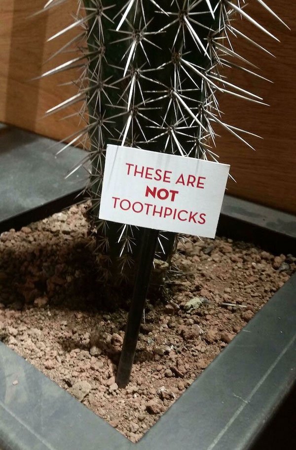 Funny Signs (30 pics)
