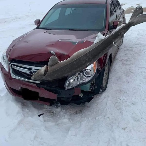 Weird Finds And Situations (30 pics)