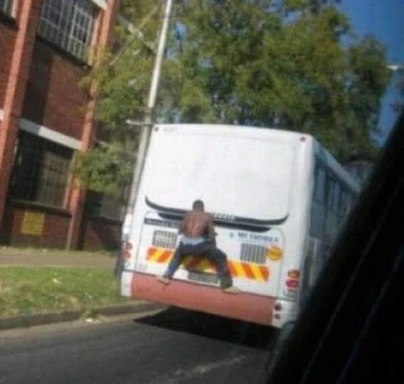 Weird Finds And Situations (30 pics)