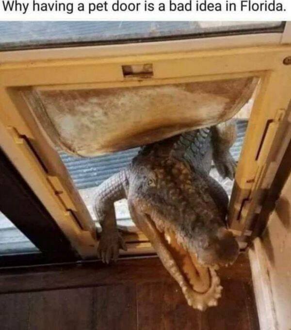 Random Memes (26 pics)