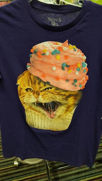 Awesome Finds In Thrift Shops (25 pics)