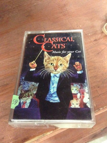 Awesome Finds In Thrift Shops (25 pics)