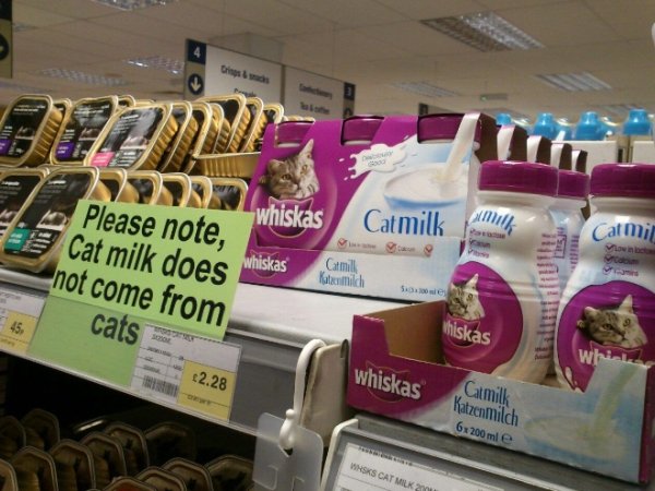 Funny Signs (30 pics)