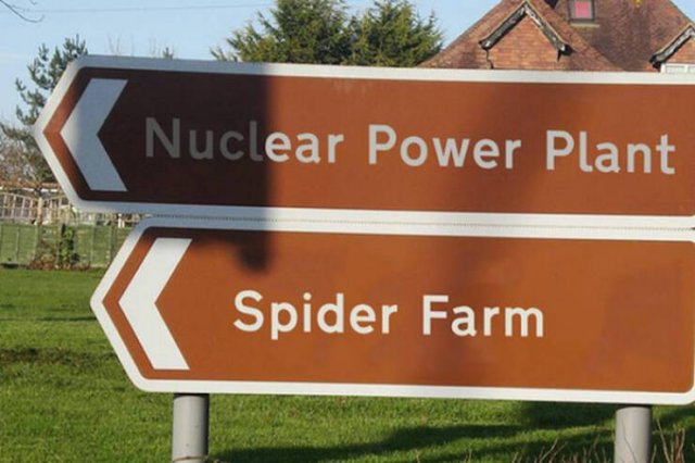 Funny Signs (43 pics)