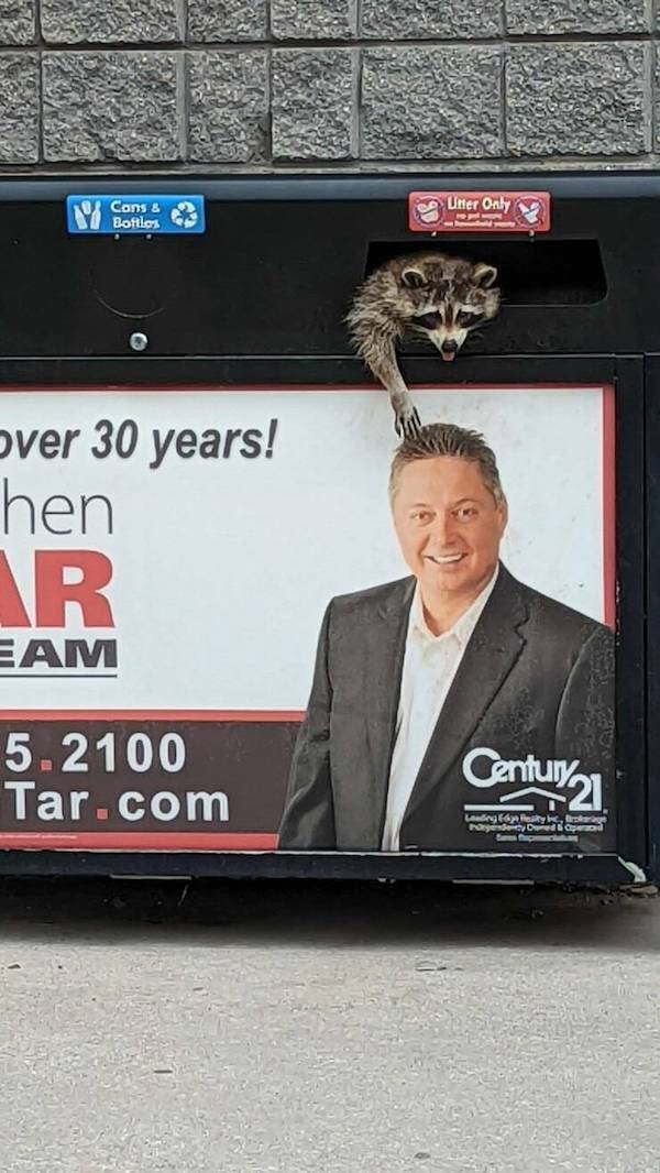 Funny Animals (60 pics)