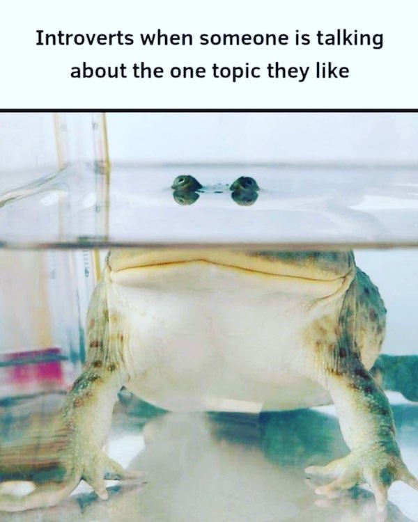 Memes For Introverts (21 pics)
